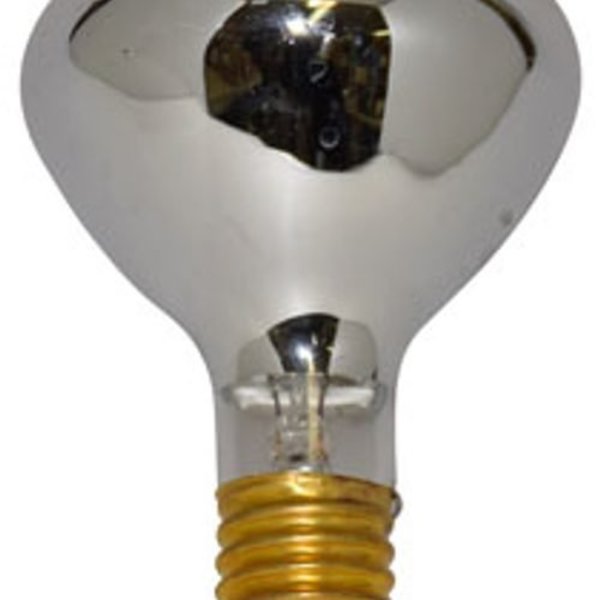 Ilc Replacement for Circle D 5040162 replacement light bulb lamp 5040162 CIRCLE D